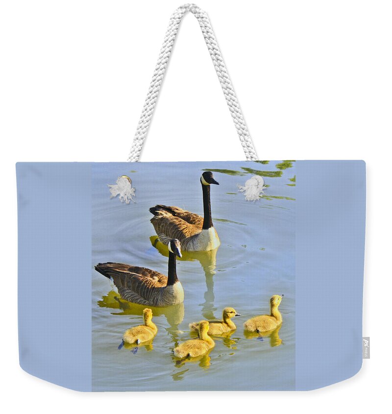 Canadian Weekender Tote Bag featuring the photograph Canadian Goose Family by Barbara Dean