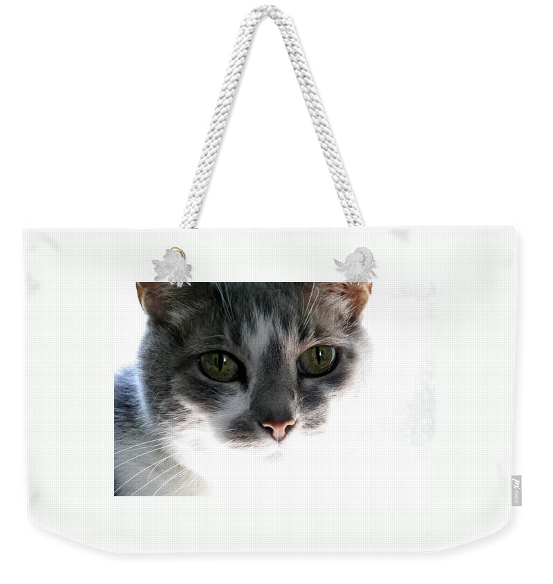 Feline Weekender Tote Bag featuring the photograph Gray Cat with Green Eyes by Valerie Collins