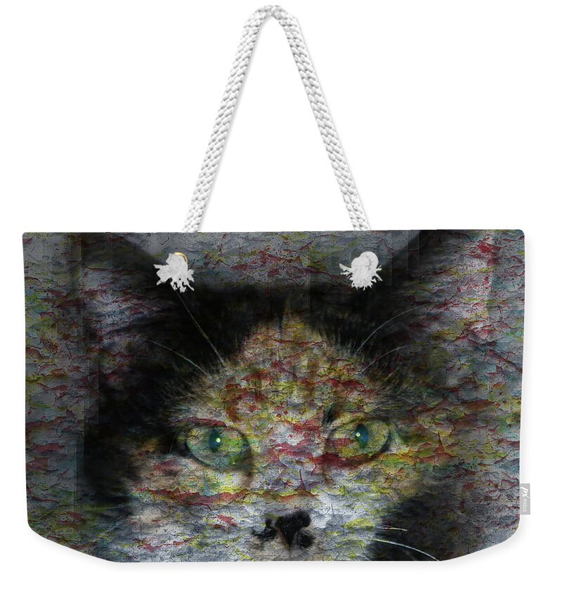 Cat Weekender Tote Bag featuring the photograph Catalina #1 by David Yocum