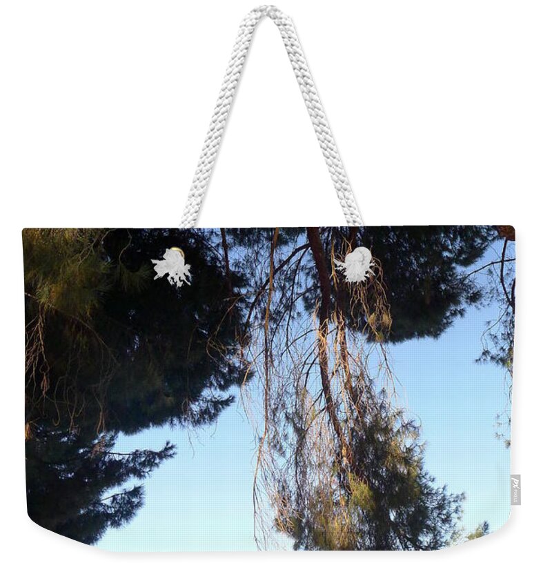 Chandelier Weekender Tote Bag featuring the photograph Chandelier #2 by Nora Boghossian