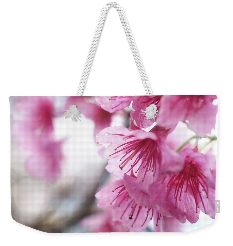 Hanging Weekender Tote Bag featuring the photograph Cherry Blossom #1 by Gen Umekita