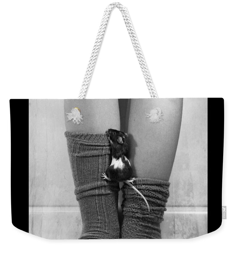 Animal Weekender Tote Bag featuring the photograph Clara And The Headwall #1 by Theresa Tahara