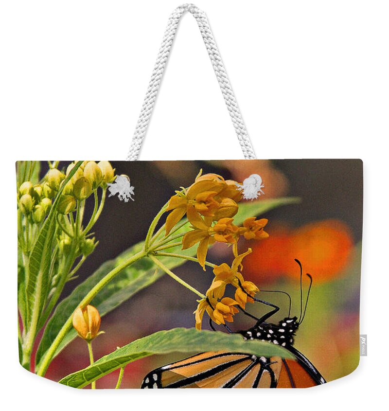 Butterfly Weekender Tote Bag featuring the photograph Clinging Butterfly #1 by Matalyn Gardner
