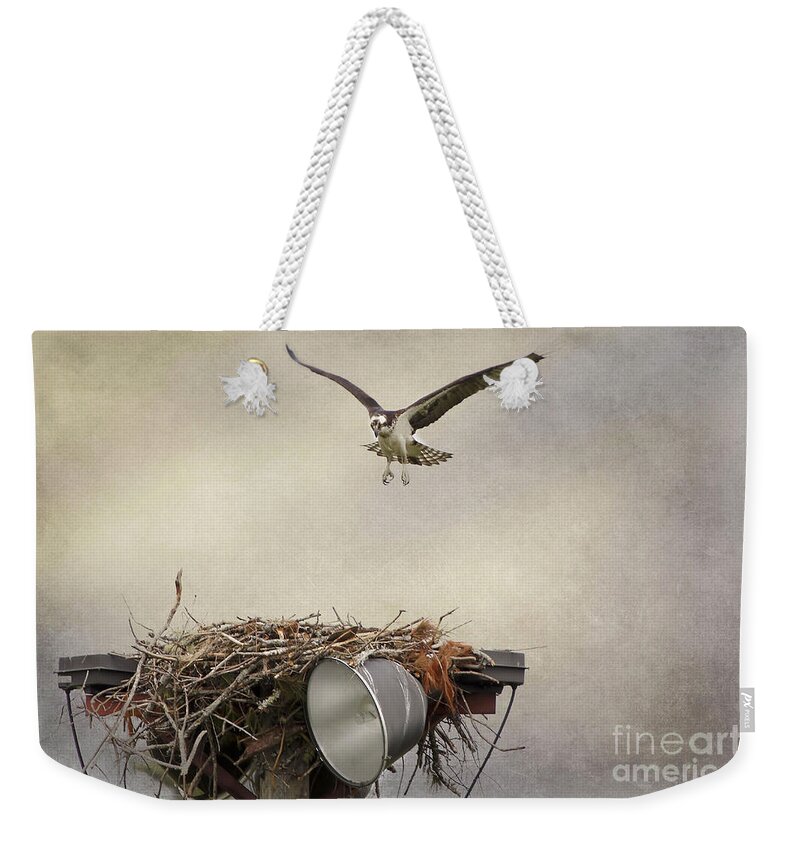 Maine Weekender Tote Bag featuring the photograph Coming In by Karin Pinkham