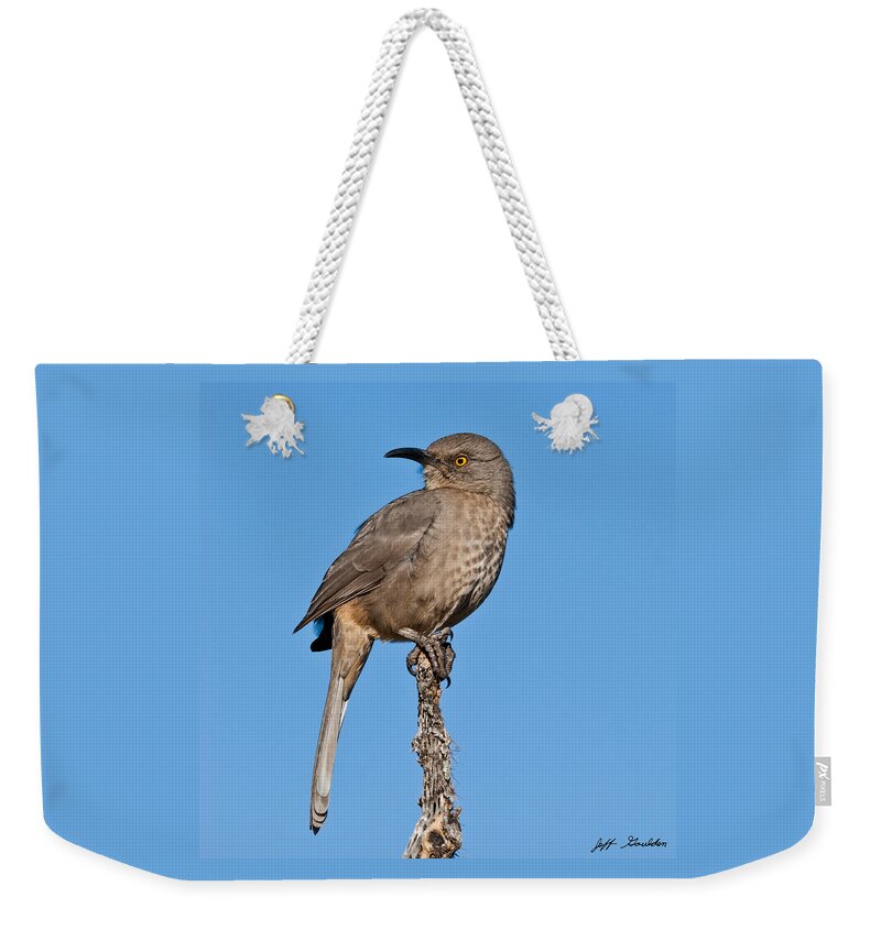 Animal Weekender Tote Bag featuring the photograph Curve-Billed Thrasher by Jeff Goulden