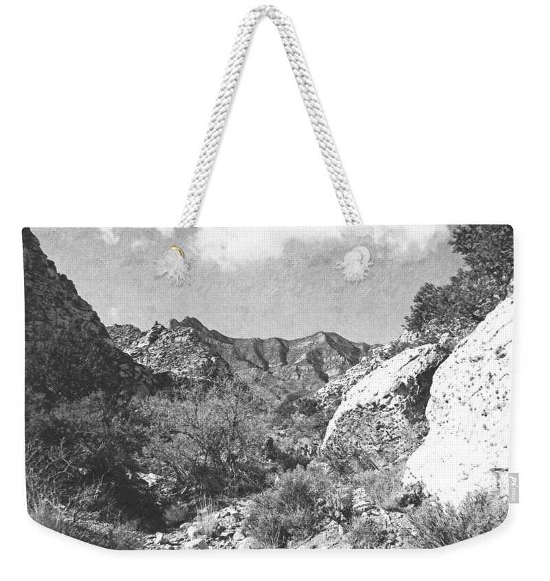 Scenery Weekender Tote Bag featuring the photograph Desert Wilderness #1 by Frank Wilson
