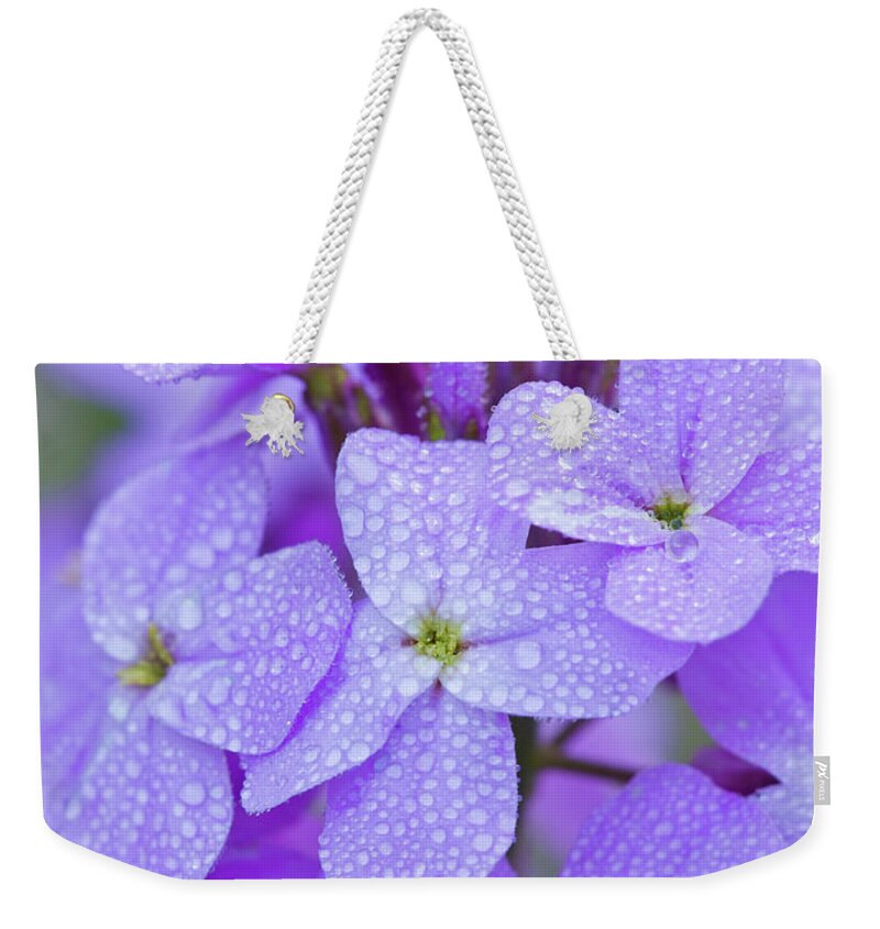 American Garden Weekender Tote Bag featuring the photograph Dew On Phlox #1 by Michael Lustbader