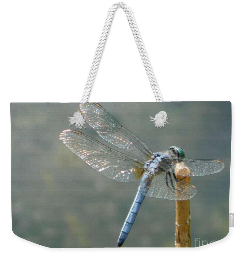 Blue Weekender Tote Bag featuring the photograph Dragonfly on Stick by Gallery Of Hope 