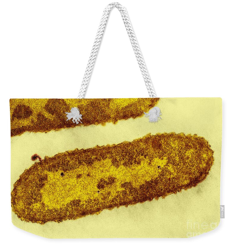 Science Weekender Tote Bag featuring the photograph E. Coli Infected With T2 Bacteriophage #1 by Omikron
