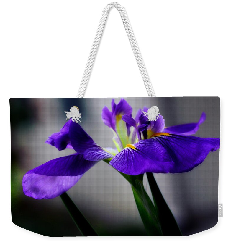 Iris Weekender Tote Bag featuring the photograph Elegant Iris by Lucy VanSwearingen