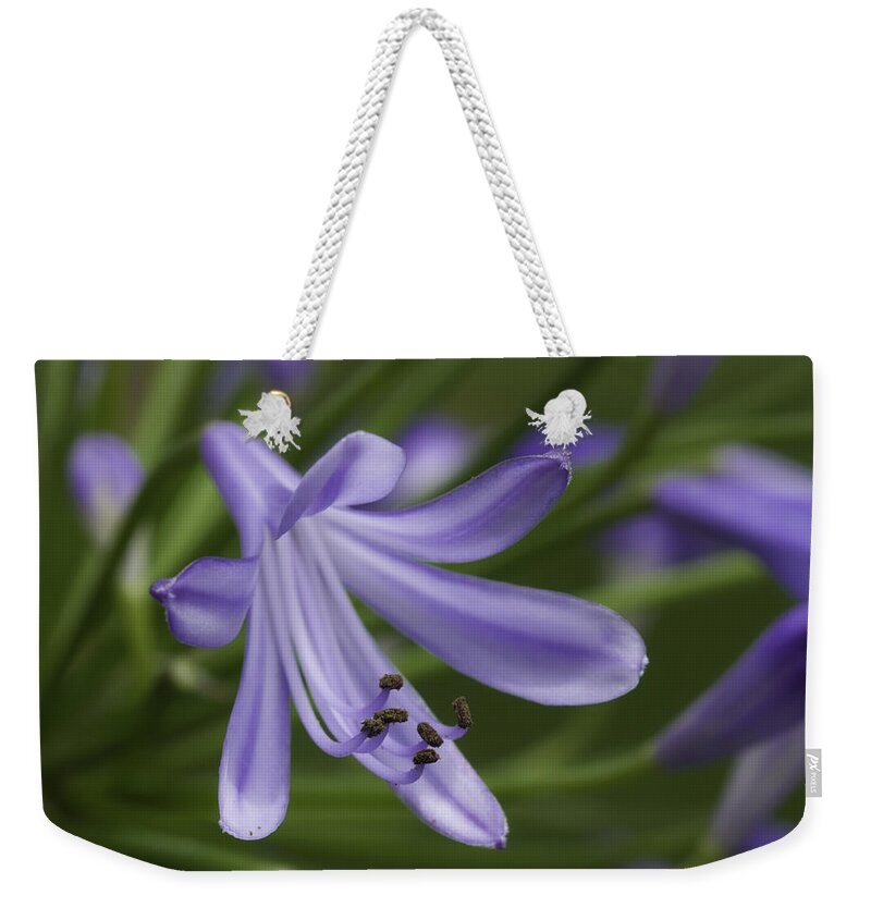 Flower Weekender Tote Bag featuring the photograph Flower #1 by David Freuthal