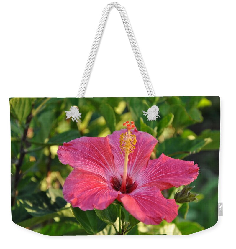 Central Park Weekender Tote Bag featuring the photograph Flower #1 by Joshua Fredericks