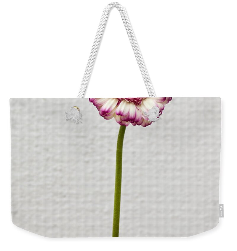 Background Weekender Tote Bag featuring the photograph Flower in vase #1 by Paulo Goncalves