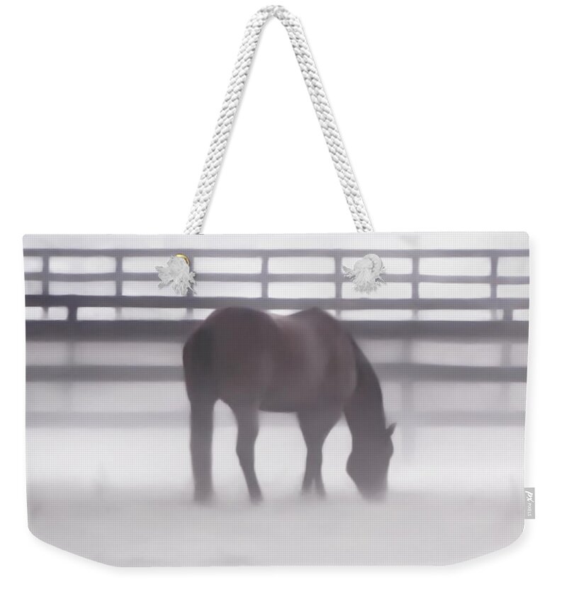 Fog Weekender Tote Bag featuring the photograph Foggy Morning by Lucy VanSwearingen