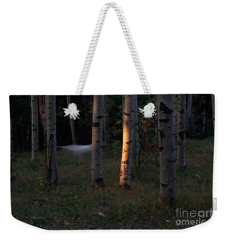 Halloween Weekender Tote Bag featuring the photograph Ghostly Apparition by Roselynne Broussard