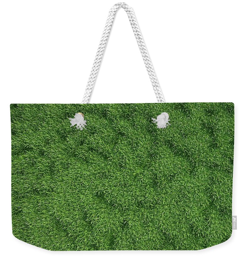Grass Weekender Tote Bag featuring the digital art Grass Meadow, Artwork #1 by Leonello Calvetti