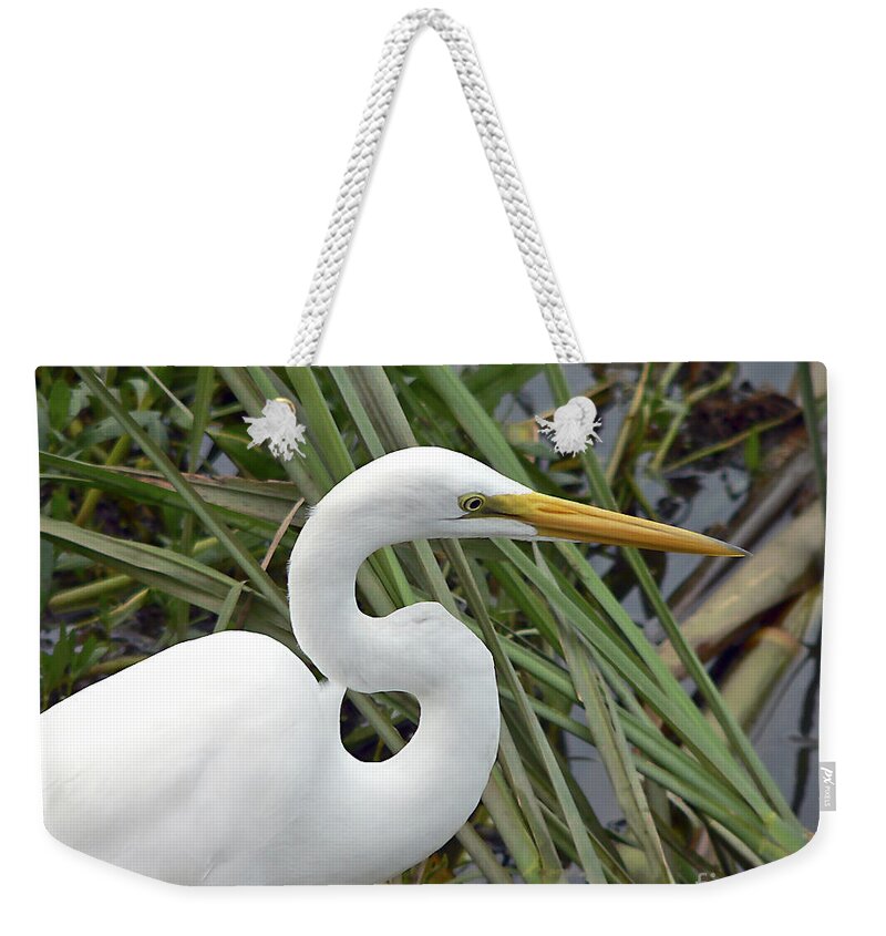 Egret Weekender Tote Bag featuring the photograph Great Egret Close Up #1 by Al Powell Photography USA