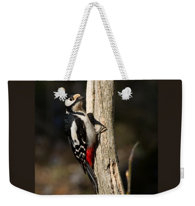 Great Spotted Woodpecker Weekender Tote Bag featuring the photograph Great Spotted Woodpecker #1 by Torbjorn Swenelius
