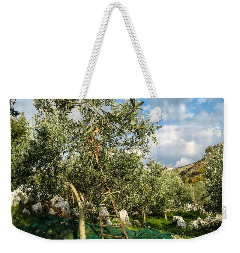 Olive Tree Weekender Tote Bag featuring the photograph Harvest Day #1 by Dany Lison
