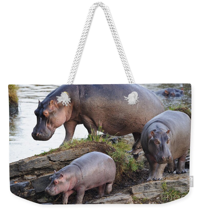 African Fauna Weekender Tote Bag featuring the photograph Hippopotamus Family #1 by John Shaw