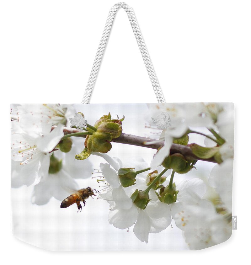 Insect Weekender Tote Bag featuring the photograph Honey Bee #1 by Photos By By Deb Alperin