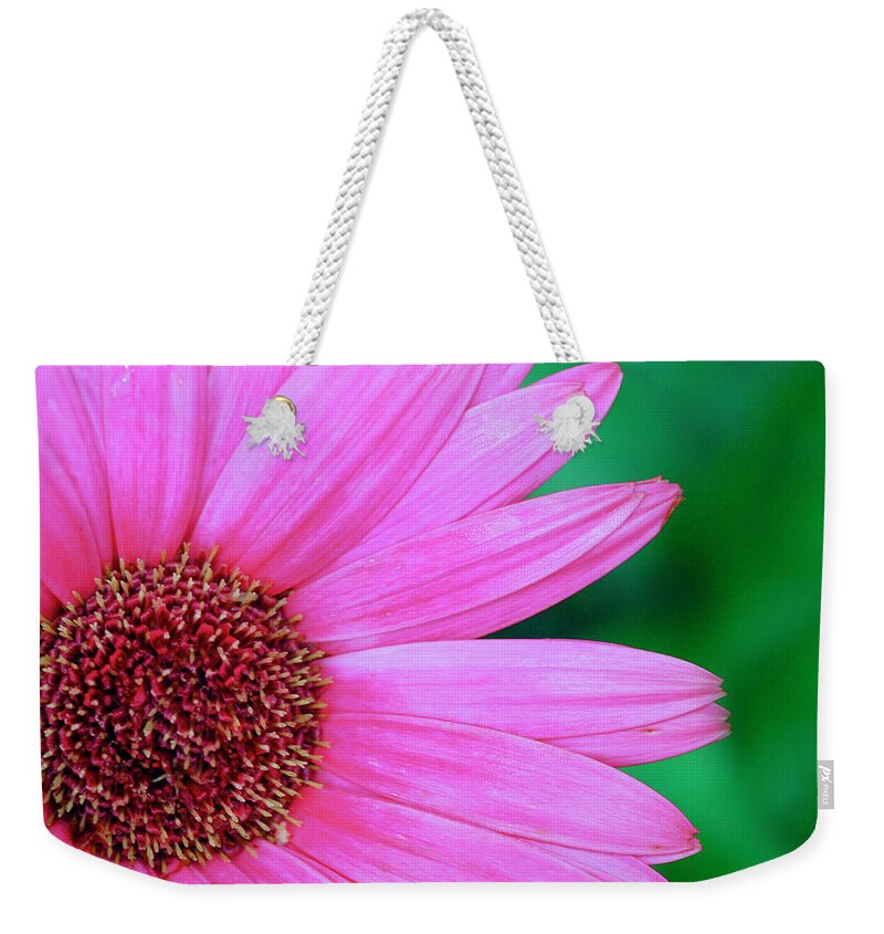 Pink Gerbera Flower Weekender Tote Bag featuring the photograph Pink Gerbera Flower by Crystal Wightman