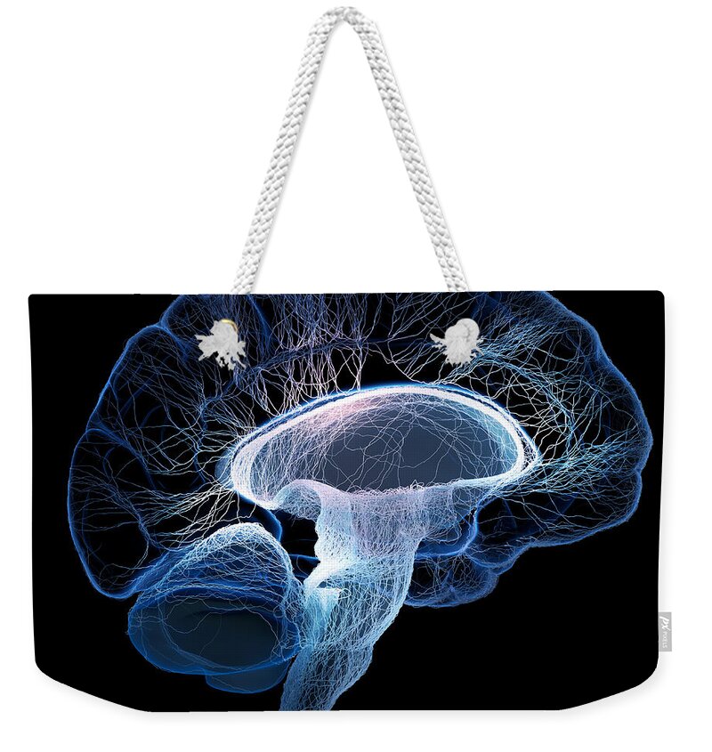 Brain Weekender Tote Bag featuring the photograph Human brain complexity by Johan Swanepoel