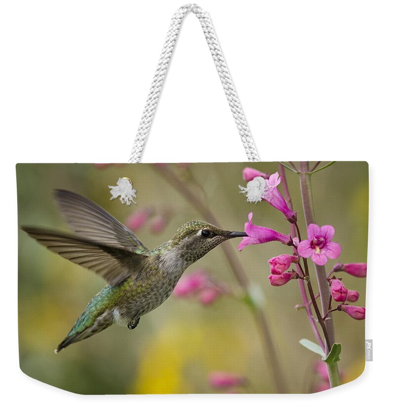 Hummingbird Weekender Tote Bag featuring the photograph Hummingbird Heaven #3 by Saija Lehtonen