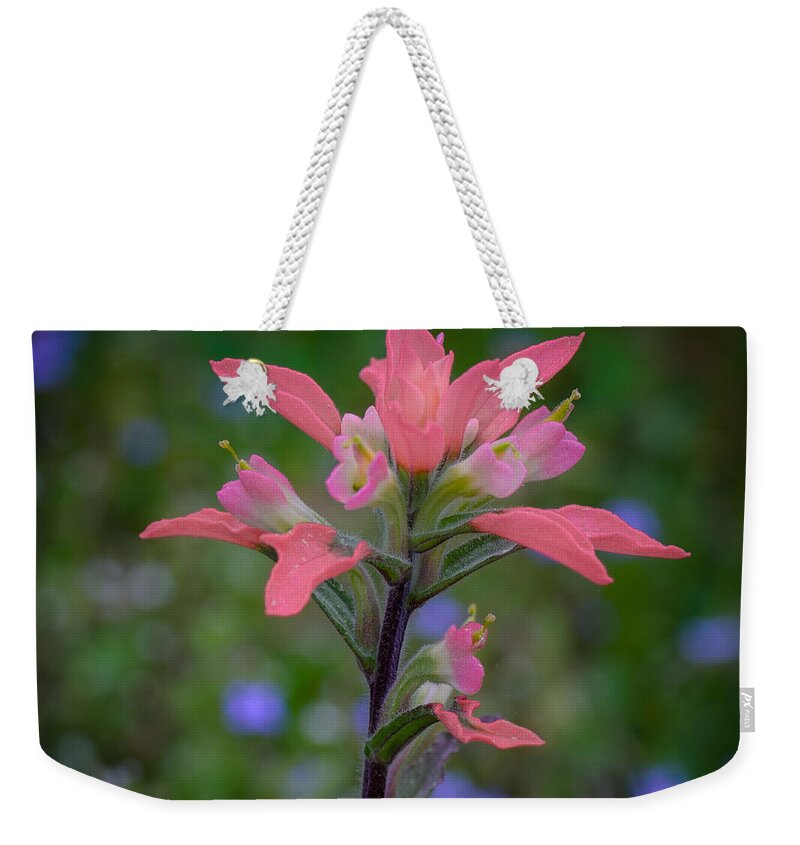 Indian Paintbrush Weekender Tote Bag featuring the photograph Indian Paintbrush by James Barber