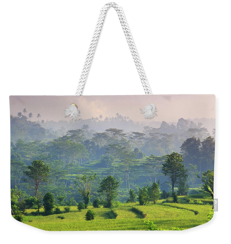 Tranquility Weekender Tote Bag featuring the photograph Indonesia, Bali, Rice Fields Landscape #1 by Michele Falzone