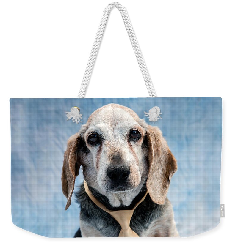 Beagle Weekender Tote Bag featuring the photograph Kippy Beagle Senior by Iris Richardson