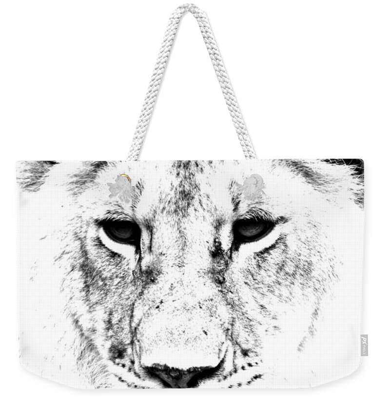 Lion Weekender Tote Bag featuring the photograph Lion Portrait #1 by Aidan Moran