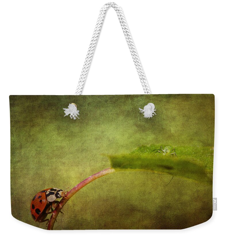 Ladybird Weekender Tote Bag featuring the photograph Looking for dinner #1 by Chris Smith