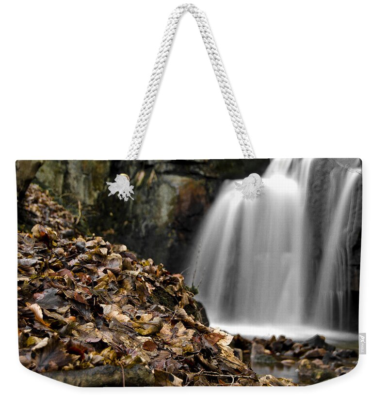  Weekender Tote Bag featuring the photograph Lwv10031 #1 by Lee Winter