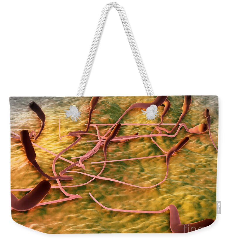 No People Weekender Tote Bag featuring the digital art Microscopic View Of Sperm #1 by Stocktrek Images
