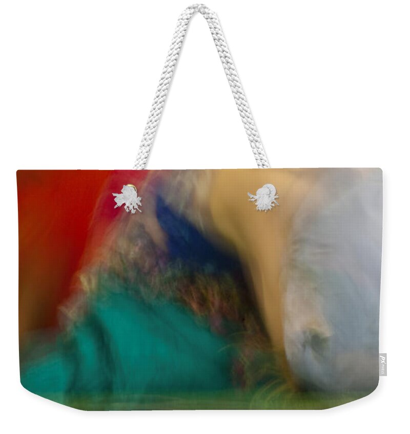 Belly Dancing Weekender Tote Bag featuring the photograph Mideastern Dancing by Catherine Sobredo