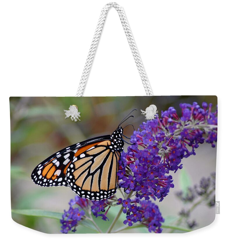 Monarch Butterfly Weekender Tote Bag featuring the photograph Monarch #3 by David Armstrong