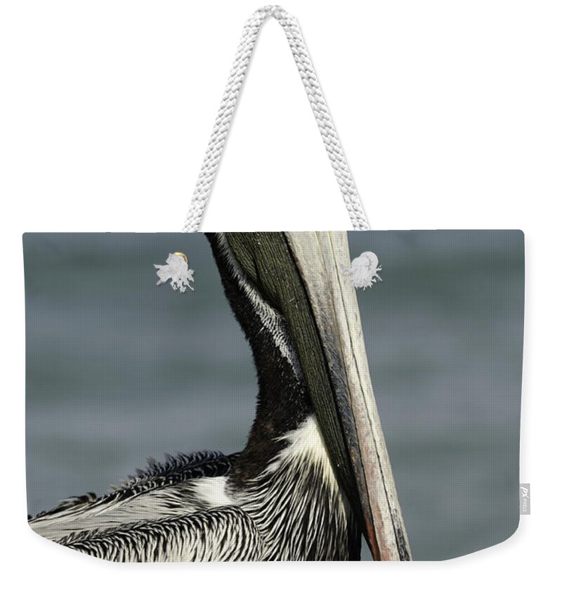 Pelican Weekender Tote Bag featuring the photograph Pelican Portrait #1 by Bradford Martin