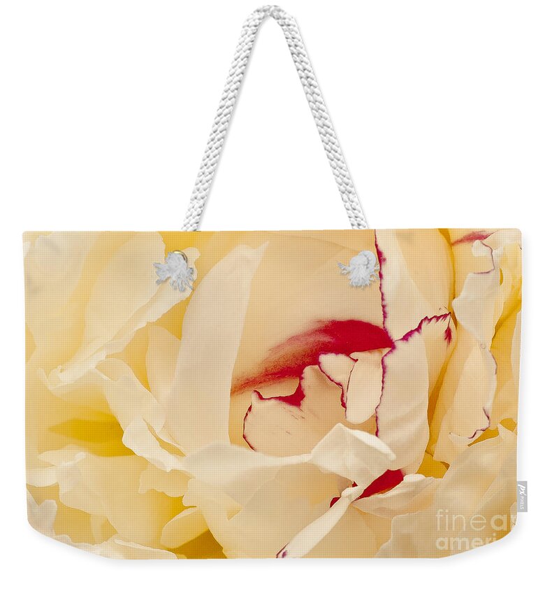 Flower Weekender Tote Bag featuring the photograph Peony by Steven Ralser