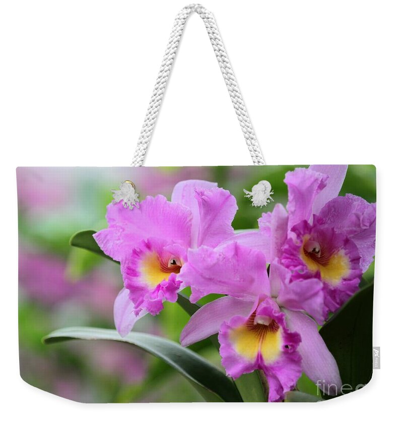 Orchid Weekender Tote Bag featuring the photograph Pink Orchids #1 by Sabrina L Ryan