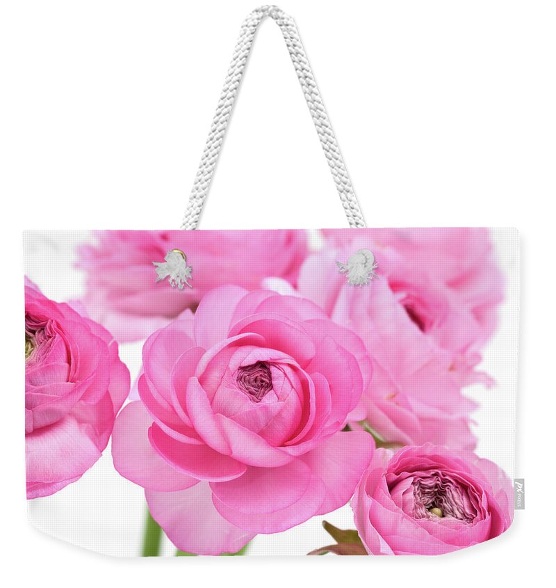 White Background Weekender Tote Bag featuring the photograph Pink Ranunculus #1 by Ursula Alter