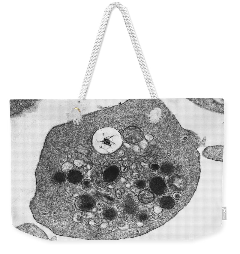 Science Weekender Tote Bag featuring the photograph Platelets Tem #1 by David M. Phillips