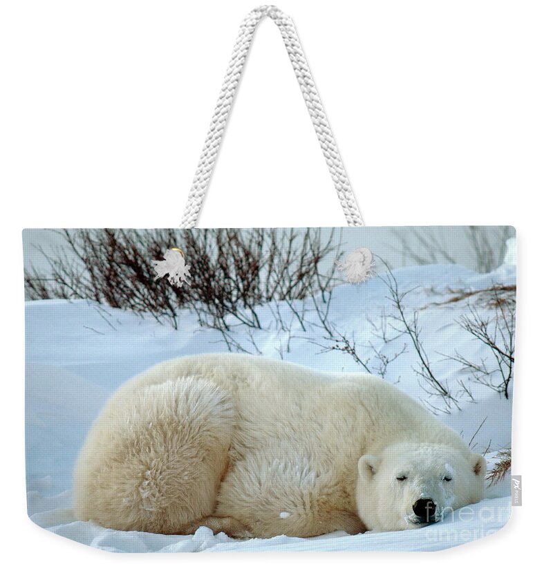Polar Bear Weekender Tote Bag featuring the photograph Polar Bear #3 by Mark Newman