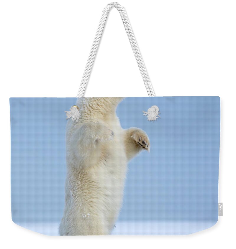 Snow Weekender Tote Bag featuring the photograph Polar Bear #1 by Sylvain Cordier