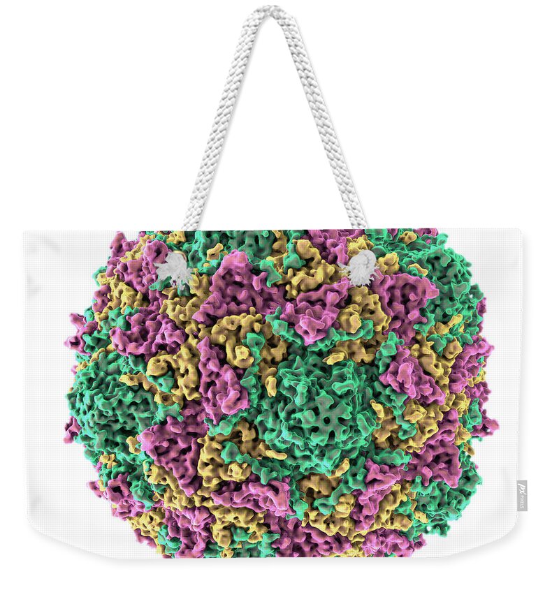 Polio Weekender Tote Bag featuring the photograph Poliovirus #1 by Evan Oto
