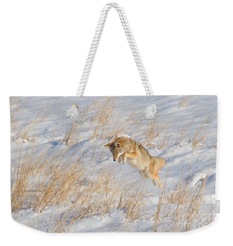 Coyote Weekender Tote Bag featuring the photograph The High Jump by Jim Garrison