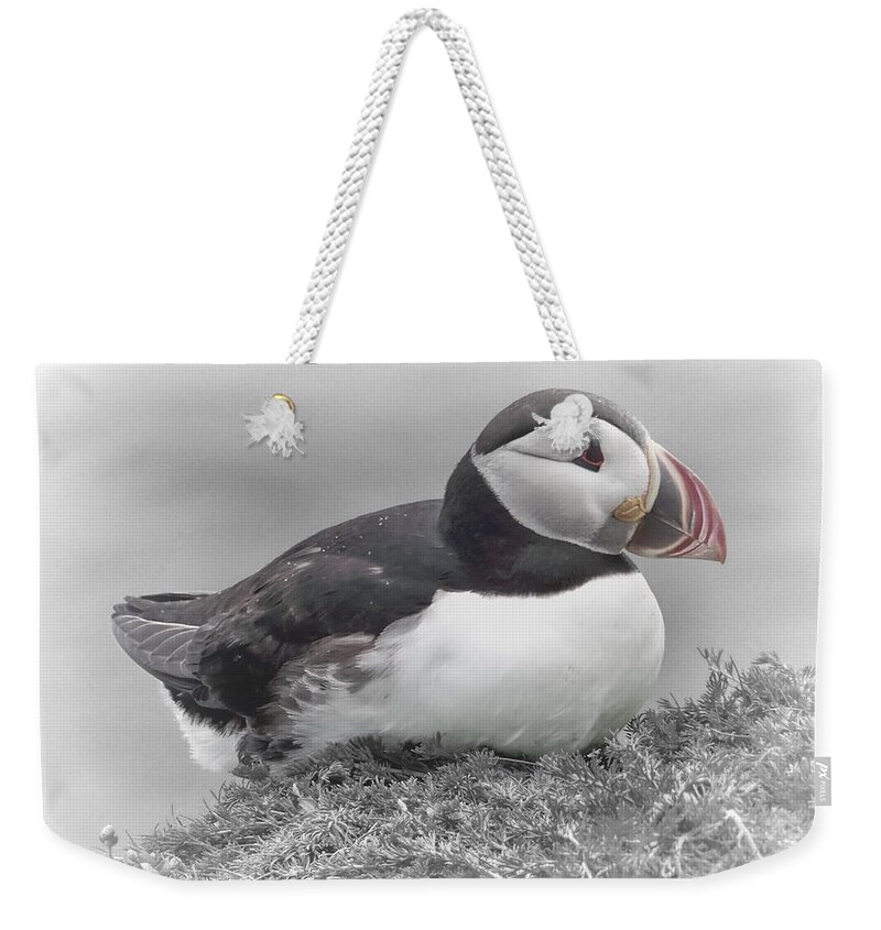 Puffin Weekender Tote Bag featuring the photograph Puffin #1 by Lynn Bolt