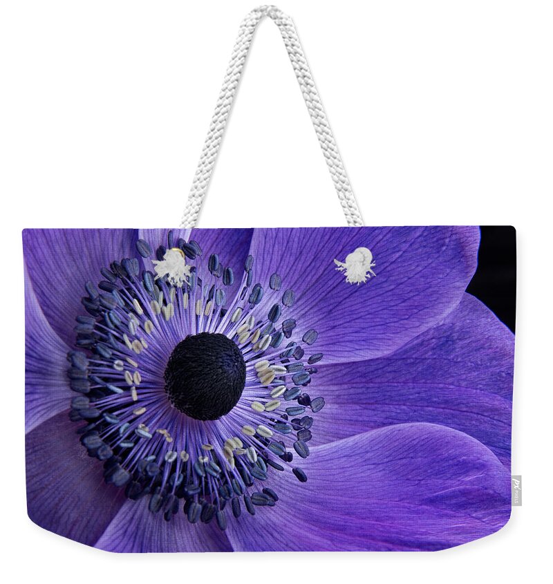 Anemone Weekender Tote Bag featuring the photograph Purple Anemone #1 by Ann Garrett