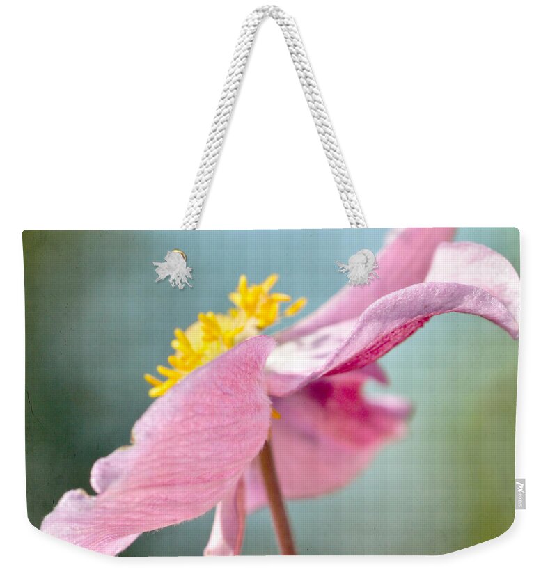 Japanese Anemone Weekender Tote Bag featuring the photograph Reaching for the Sky #2 by Kerri Farley