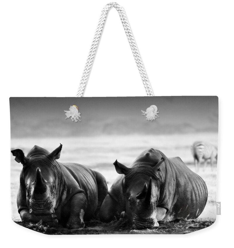 Africa Weekender Tote Bag featuring the photograph Resting In The Rain #1 by Mike Gaudaur